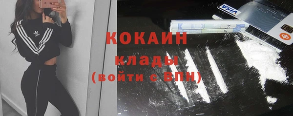 стаф Алзамай