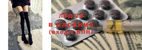 стаф Алзамай