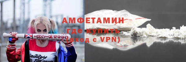 стаф Алзамай