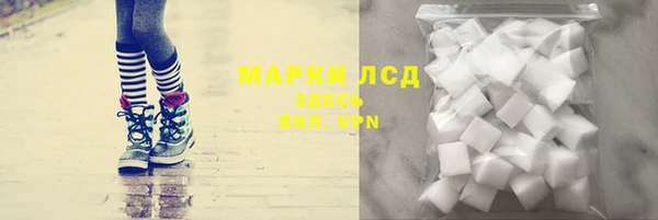 стаф Алзамай