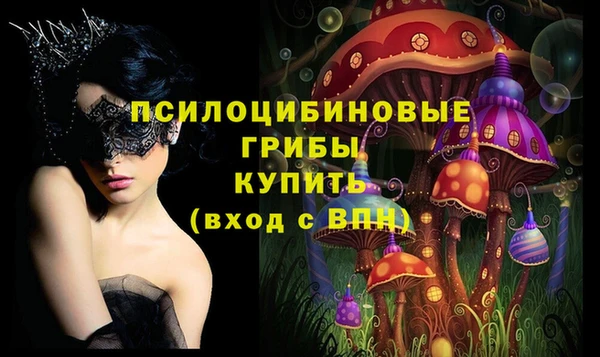 амф Алексин