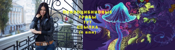 амф Алексин