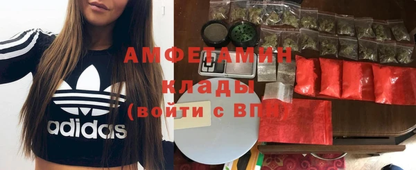 амф Алексин